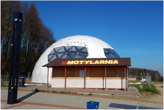 Wodna przygoda
